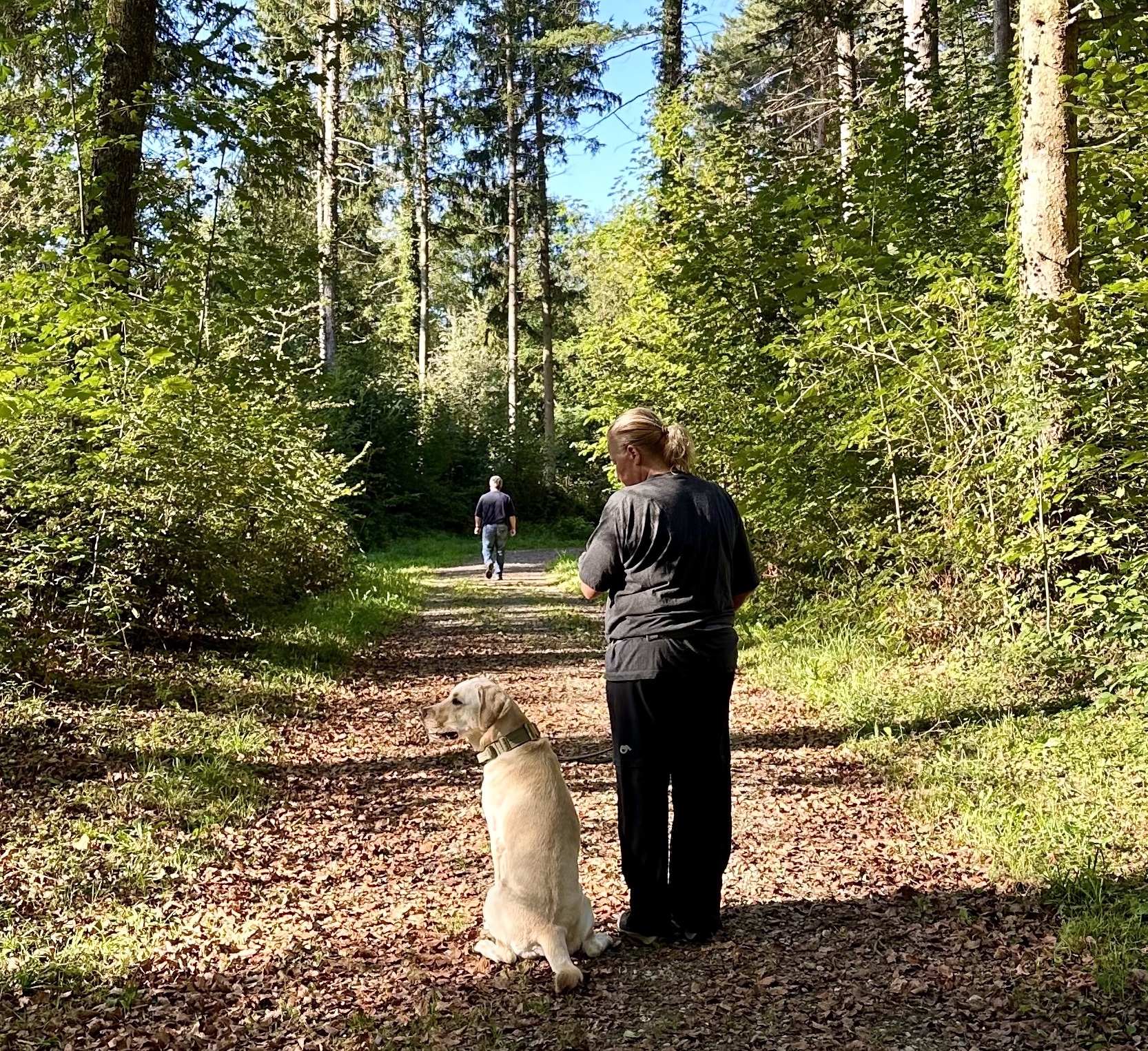 Privatlektionen